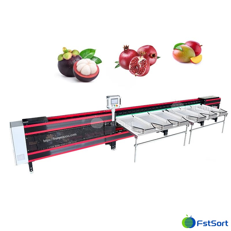 images/1763099805872guava 2.jpg